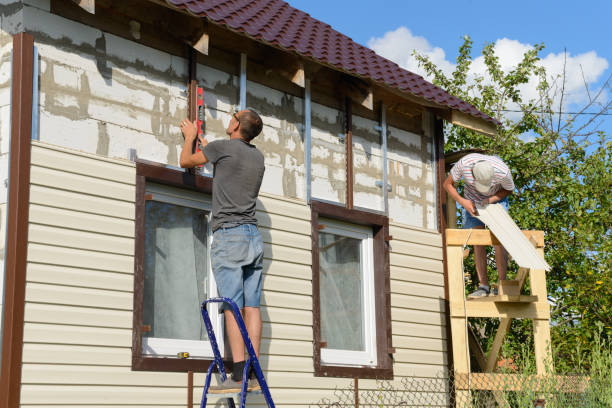 Best Siding for New Construction  in Badger, AK