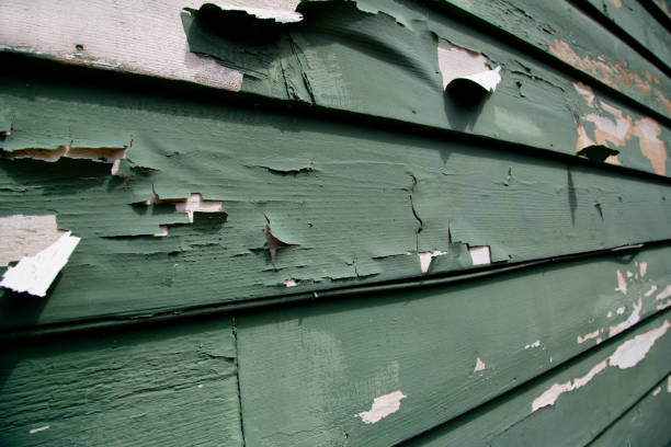 Best Aluminum Siding Installation  in Badger, AK