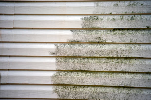 Best Custom Trim and Detailing for Siding  in Badger, AK